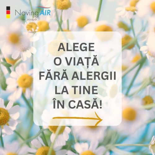 alergiile-poti-sa-scapi-de-alergeni-in-casa-la-tine_1