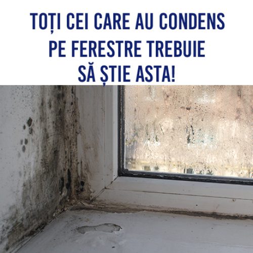 toti-cei-care-au-condens-pe-pereti-ferestre-trebuie-sa-stie-asta_1_site
