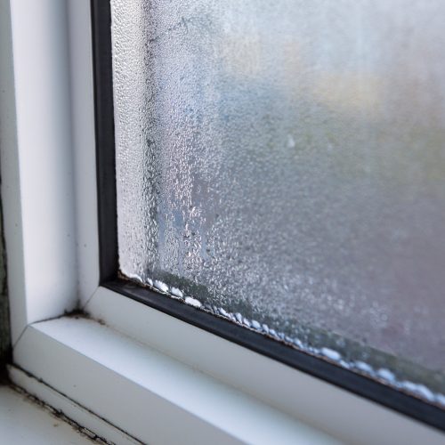 House Window With Damp And Condensation